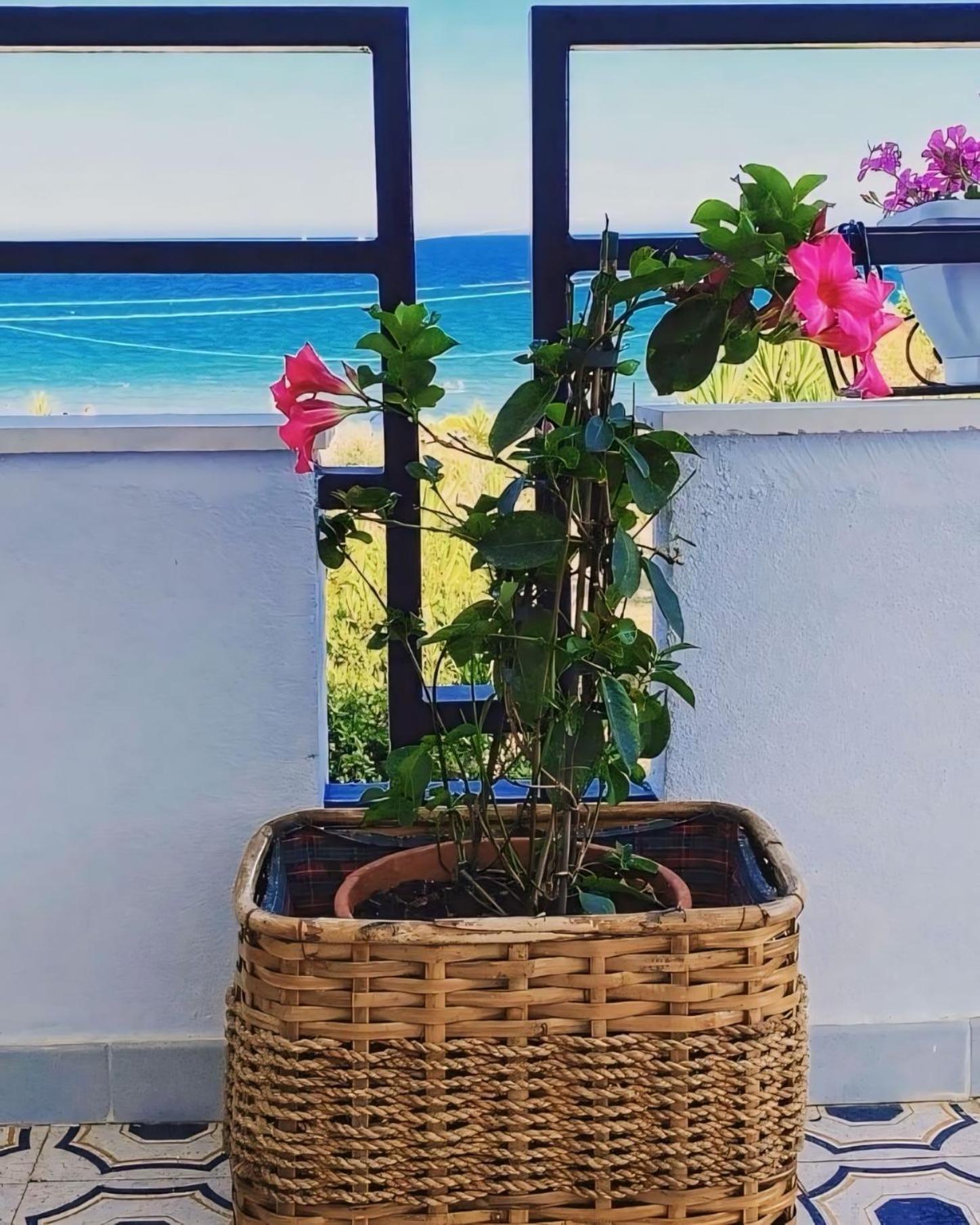 Il Mare Di Ciccio Villa Avola Bagian luar foto